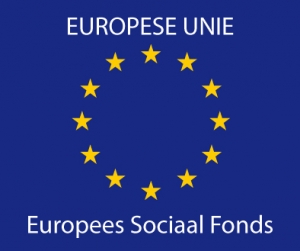 ESF-subsidie-duurzame-inzetbaarheid-2015