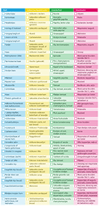 inspiratielijst-gezonde-combinaties