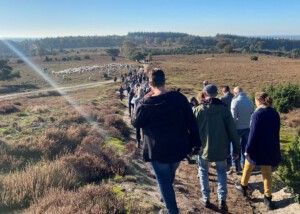 Tielbeke